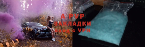 ГАЛЛЮЦИНОГЕННЫЕ ГРИБЫ Иннополис