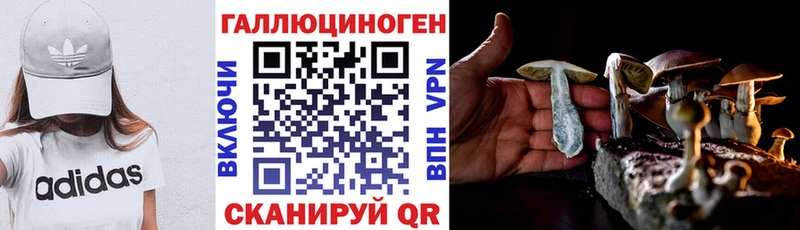 Галлюциногенные грибы мицелий  Заинск 