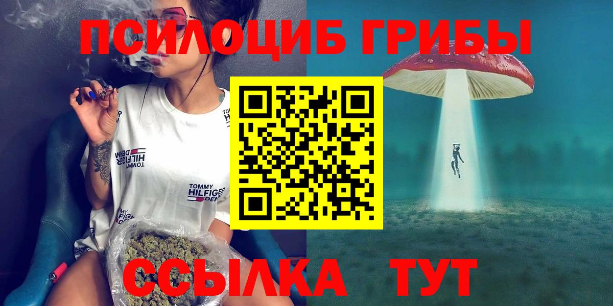 Псилоцибиновые грибы мицелий  Вход с VPN  Заинск 